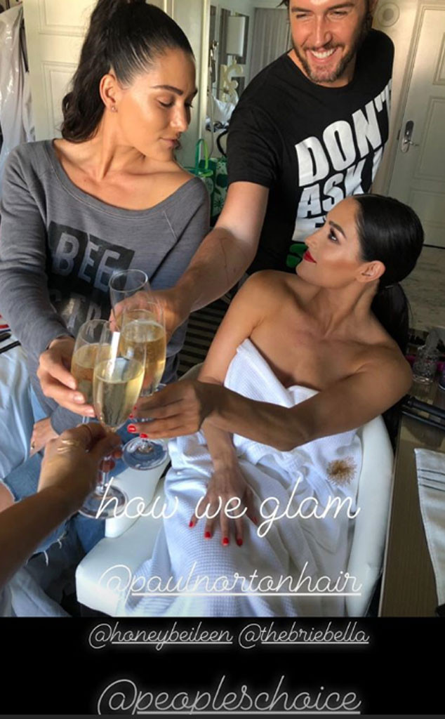 Brie Bella, Nikki Bella, Instagram, PCAs Brie Bella, Nikki Bella, Instagram, PCAs